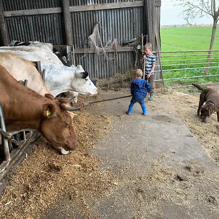 Boerencamping Swarthoeve אתר קמפינג *