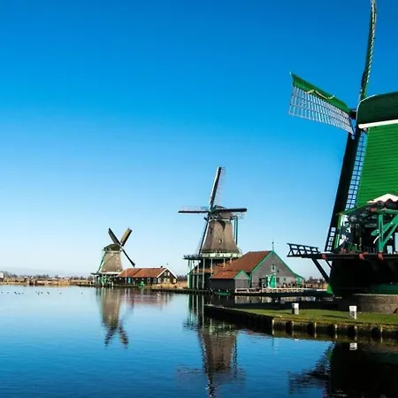 Boerencamping Swarthoeve אתר קמפינג